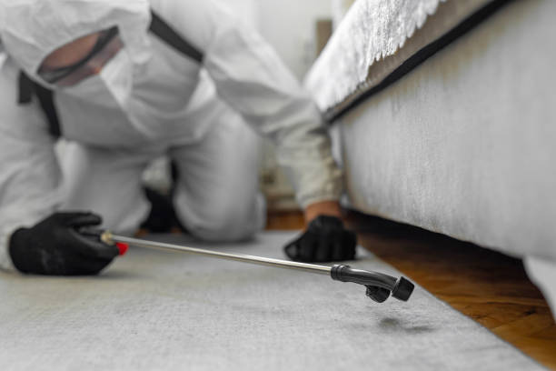 Professional Cockroach Control technician working in Rockton, IL