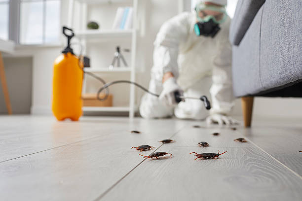 Trusted Termite Control service in Rockton, IL - Nex Pest Control