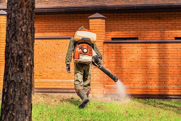 Trusted Mosquito Control service in Rockton, IL - Nex Pest Control